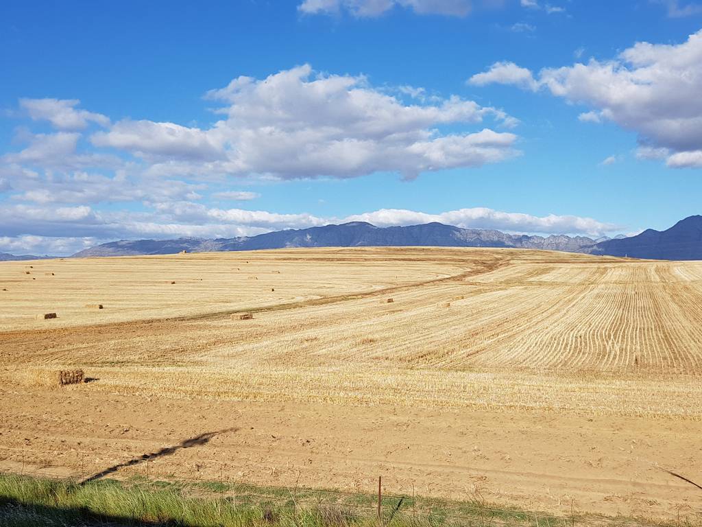 Johannesburg to Cape Town by Train Shosholoza Meyl South Africa