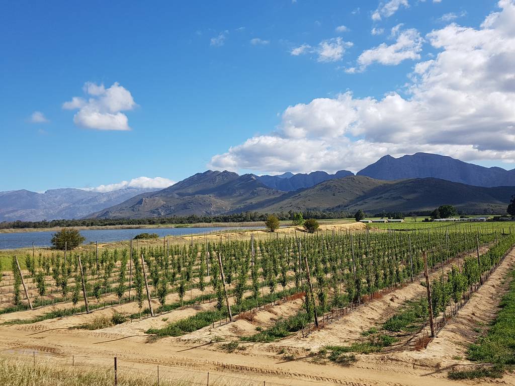Johannesburg to Cape Town by Train Shosholoza Meyl South Africa