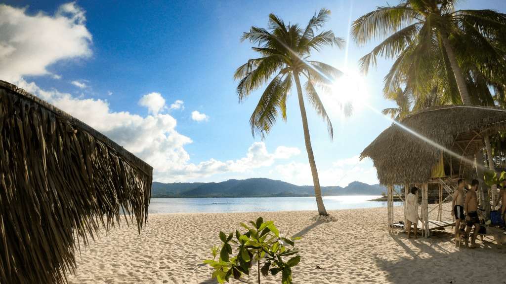 Beach on one of Taos island with coconut palm tree