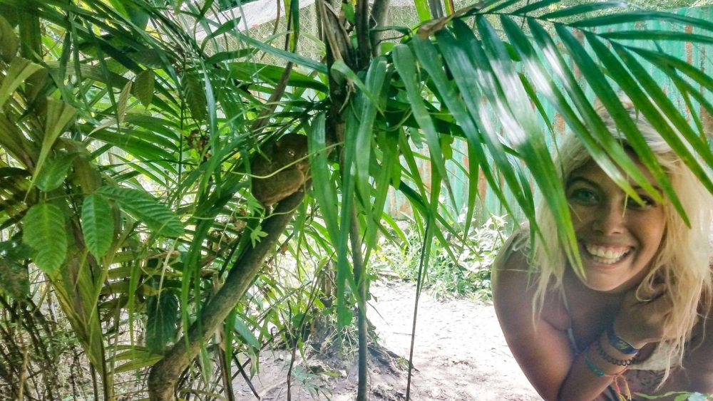 Fernwehsarah während der "Bohol in einem Tag" Tour im Tarsier Sanctuary in Corella