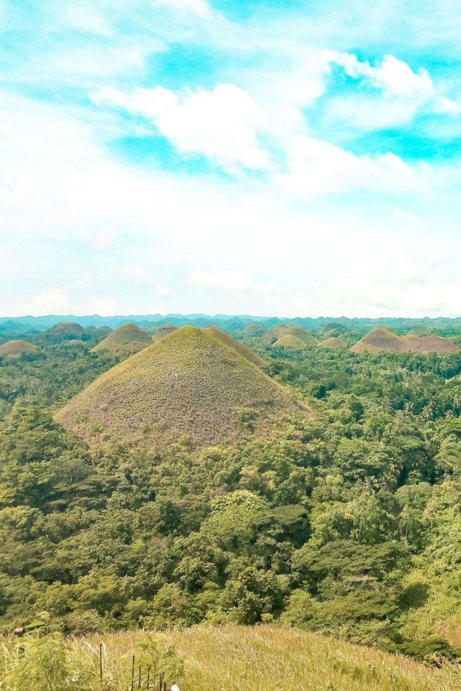 Die berühmten ChocolateHills in Bohol sehen in der Regenzeit eher grün als braun aus