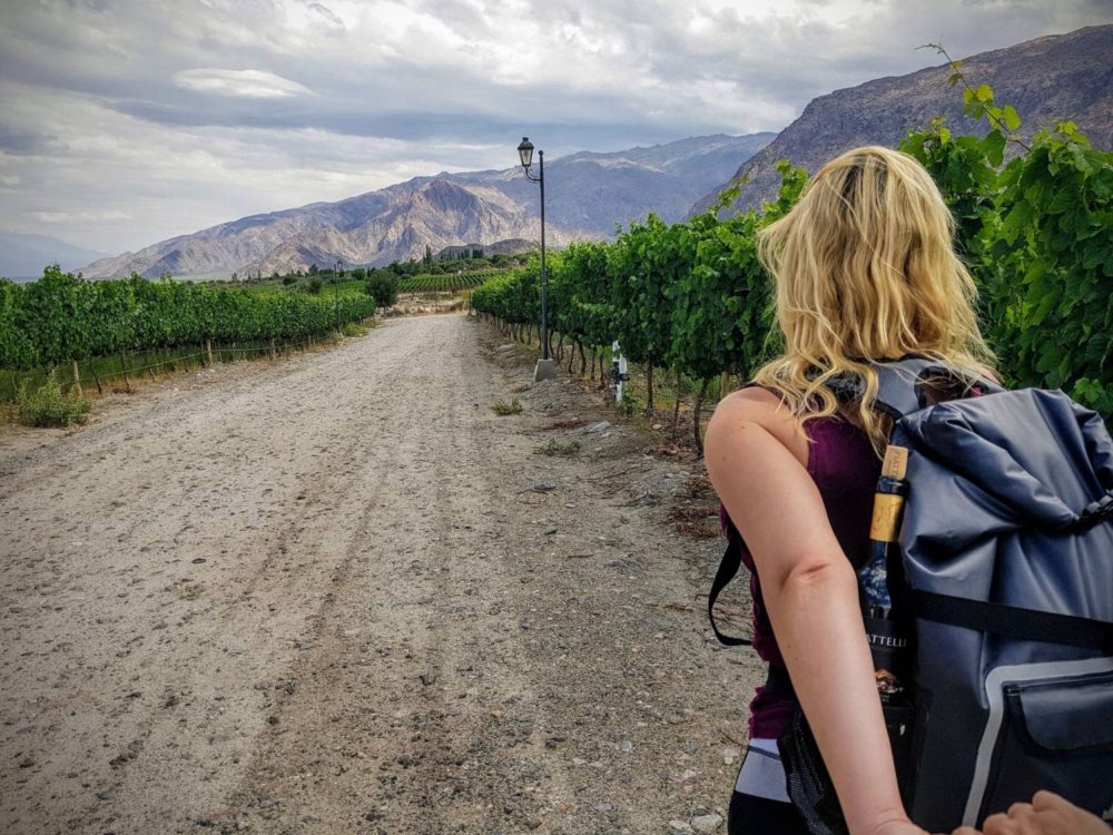 World Trip Travel Bucket List - Wine Valley Cafayate Argentina Hiking