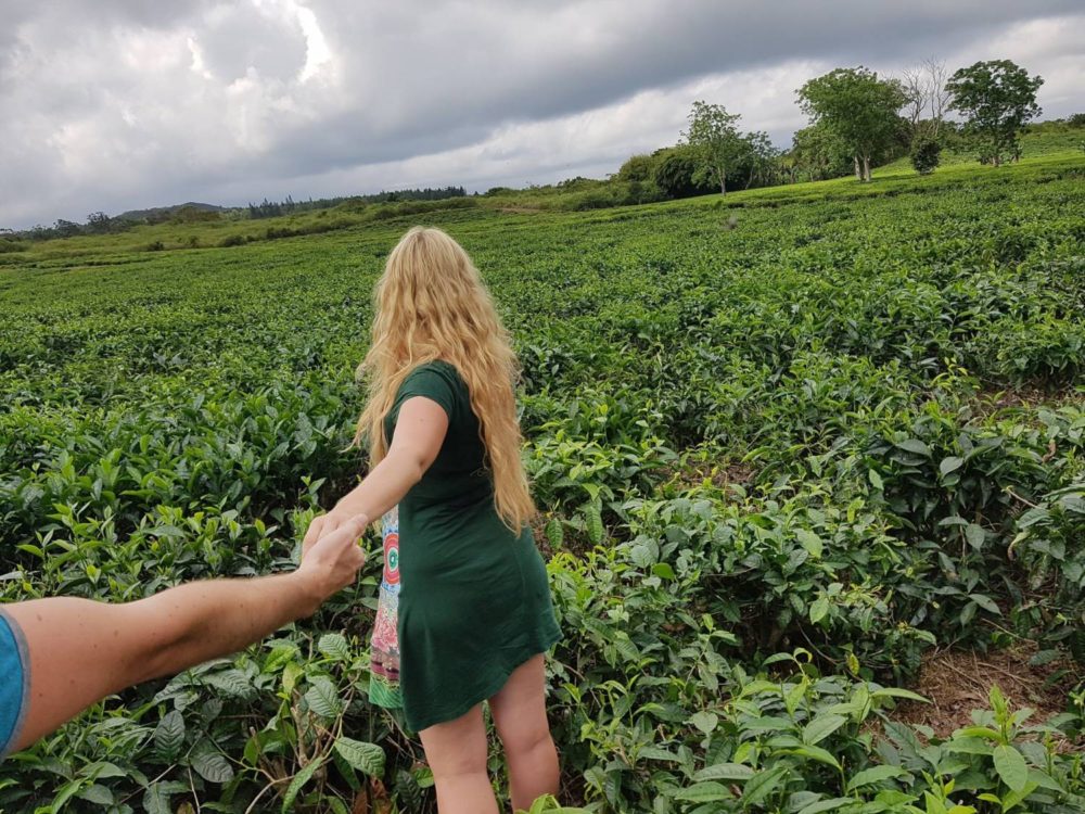 World Trip Travel Bucket List - Tea Plantations in Mauritius