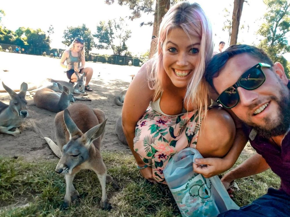 World Trip Travel Bucket List - Roadtrip Australia Wallaby
