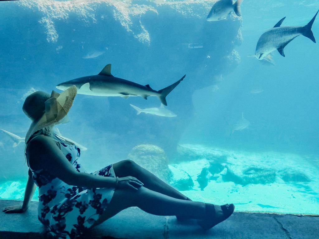 Norwegian Cruise Line Review NCL Bahamas