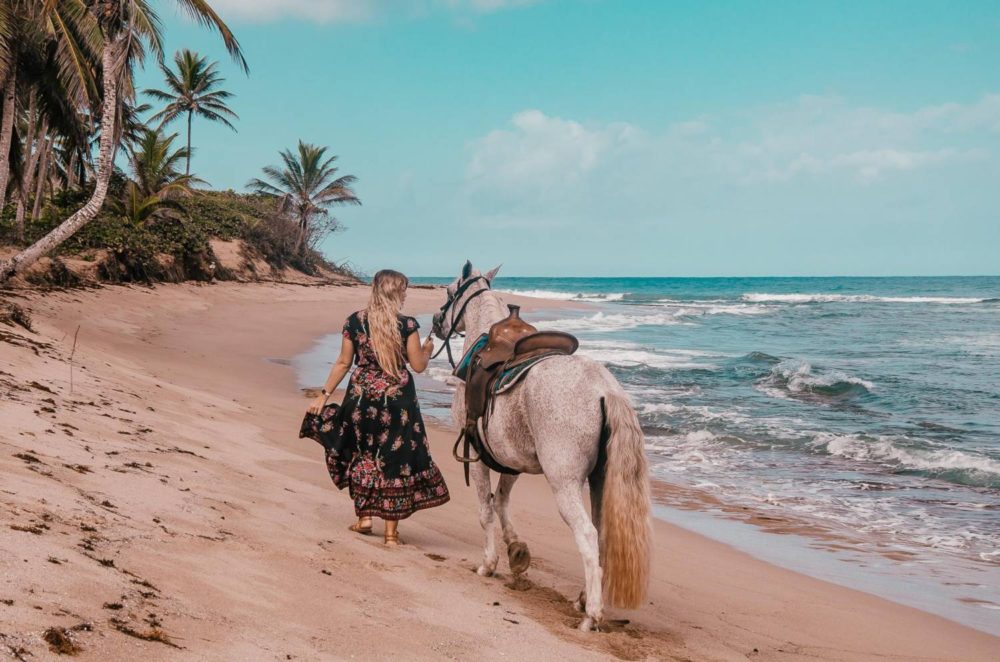 Horseback Riding Sea Horse Ranch Cabarete Top Things to do in