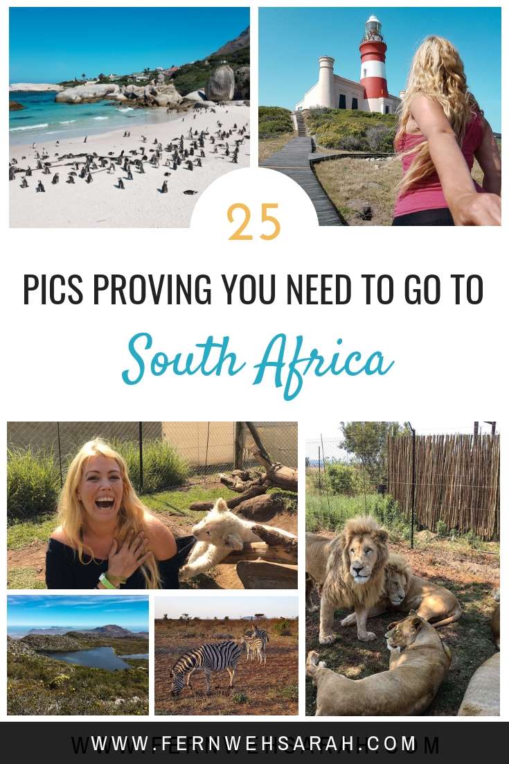 South Africa Photo Inspiration - Instaworthy shots