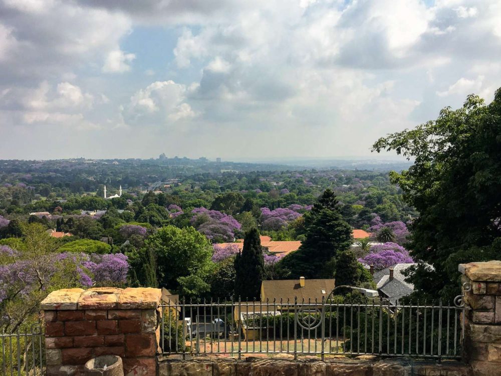 South Africa Photo Inspiration - Instaworthy shots - Jacaranda Trees Pretoria