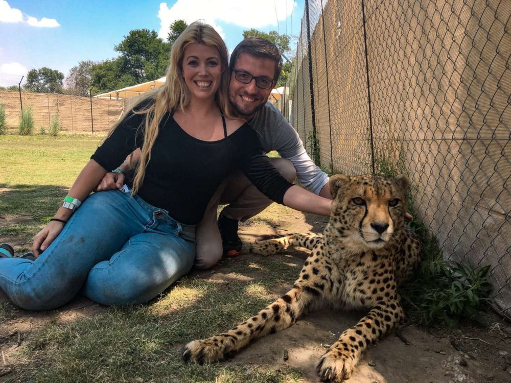 South Africa Photo Inspiration - Instaworthy shots - Petting a cheetah at Lion Park Johannesburg