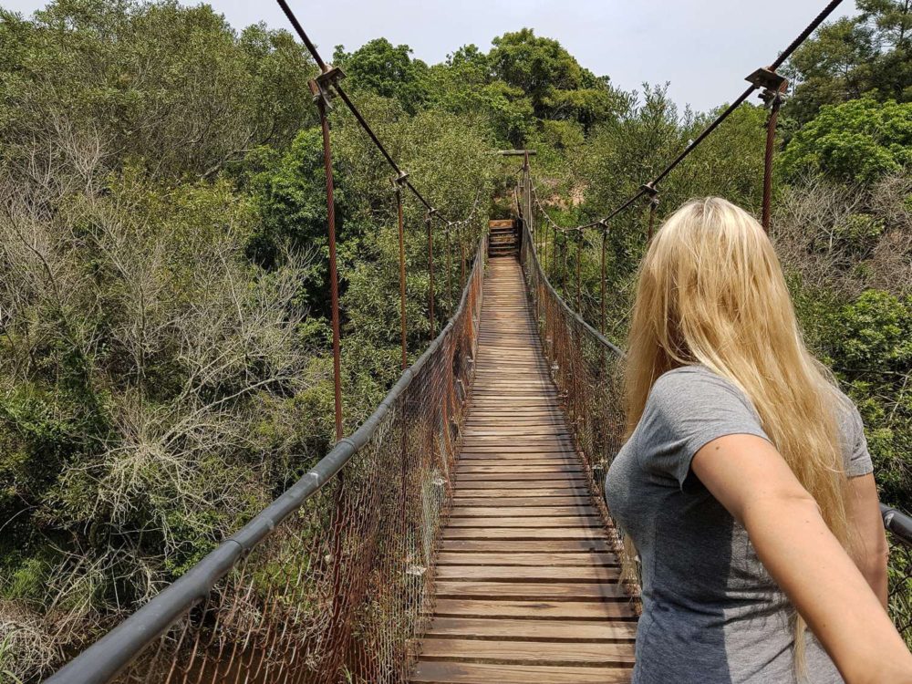 South Africa Photo Inspiration - Instaworthy shots - Kraga Kamma Game Reserve