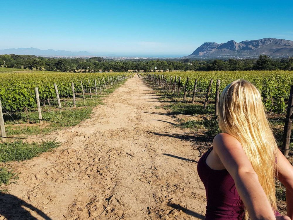 South Africa Photo Inspiration - Instaworthy shots - Walking along the whine region