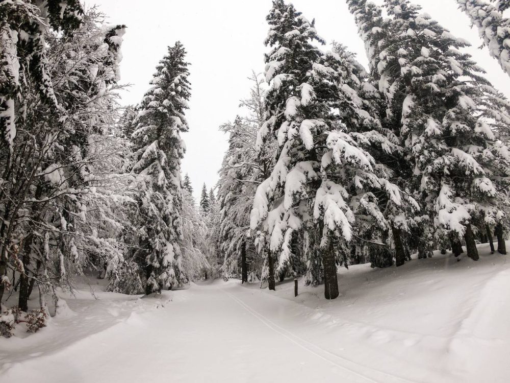 Soriska Planina Alpventure Ski Resort - find the best ski resorts in Slovenia - the ultimate guide to skiing in Slovenia