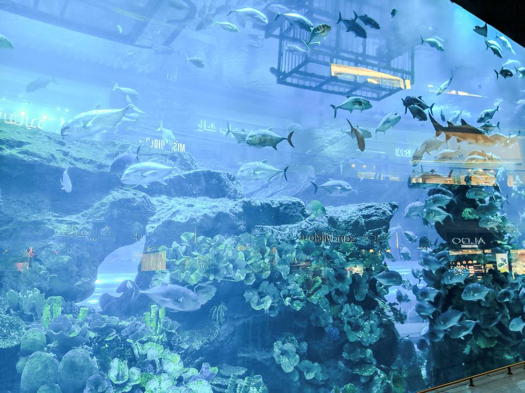 Aquarium inside Dubai Mall