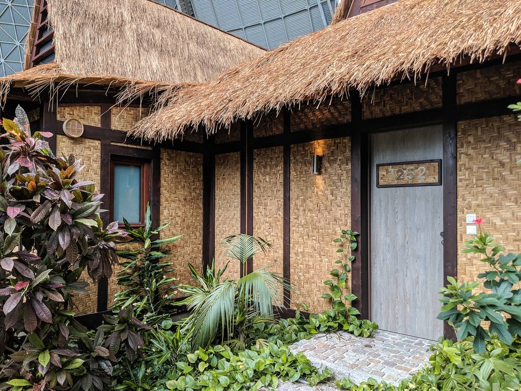 Outside of the Junior Suite in the Rain Forest