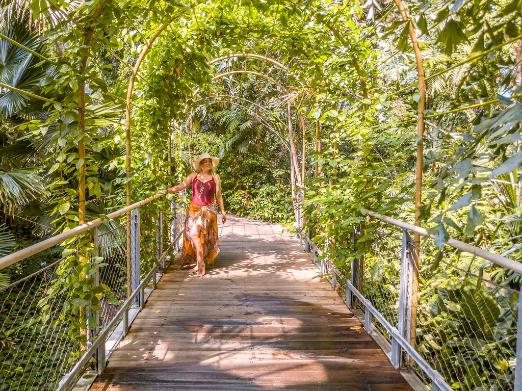 Tropical Rain Forest at Tropical Islands Berlin