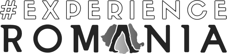Companies we worked with