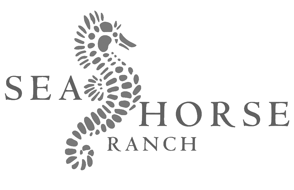 Companies we worked with