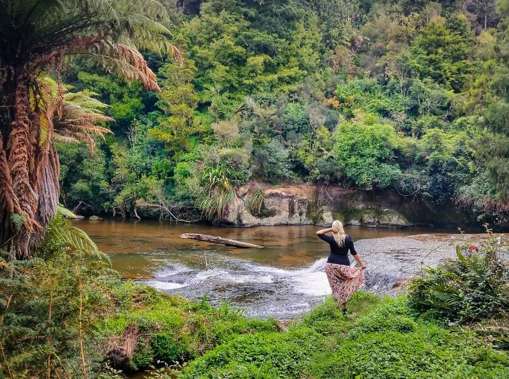 New Zealand Nature near Omaru Falls