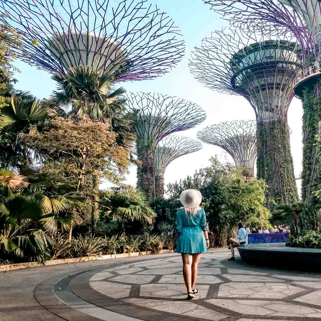 Casually walking around Supertree Grove at Garden by the Bay