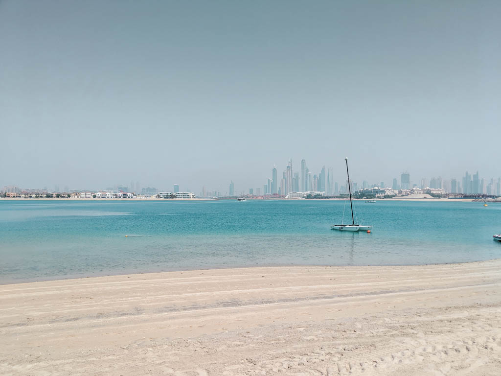 View on the palm leaves from the beach of W Hotel Dubai Palm Jumeirah