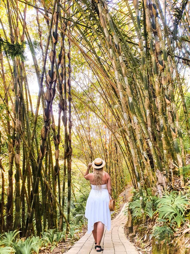 Bamboo Forest Walk at Padma Resort Ubud
