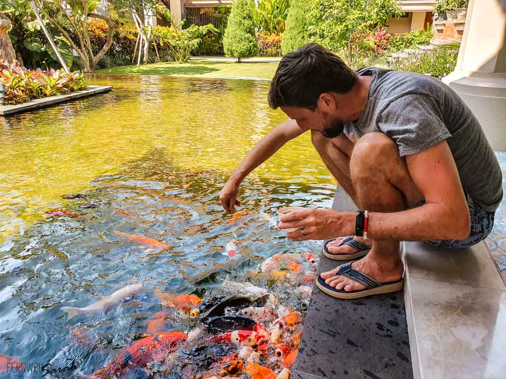 Markus during fish feeding