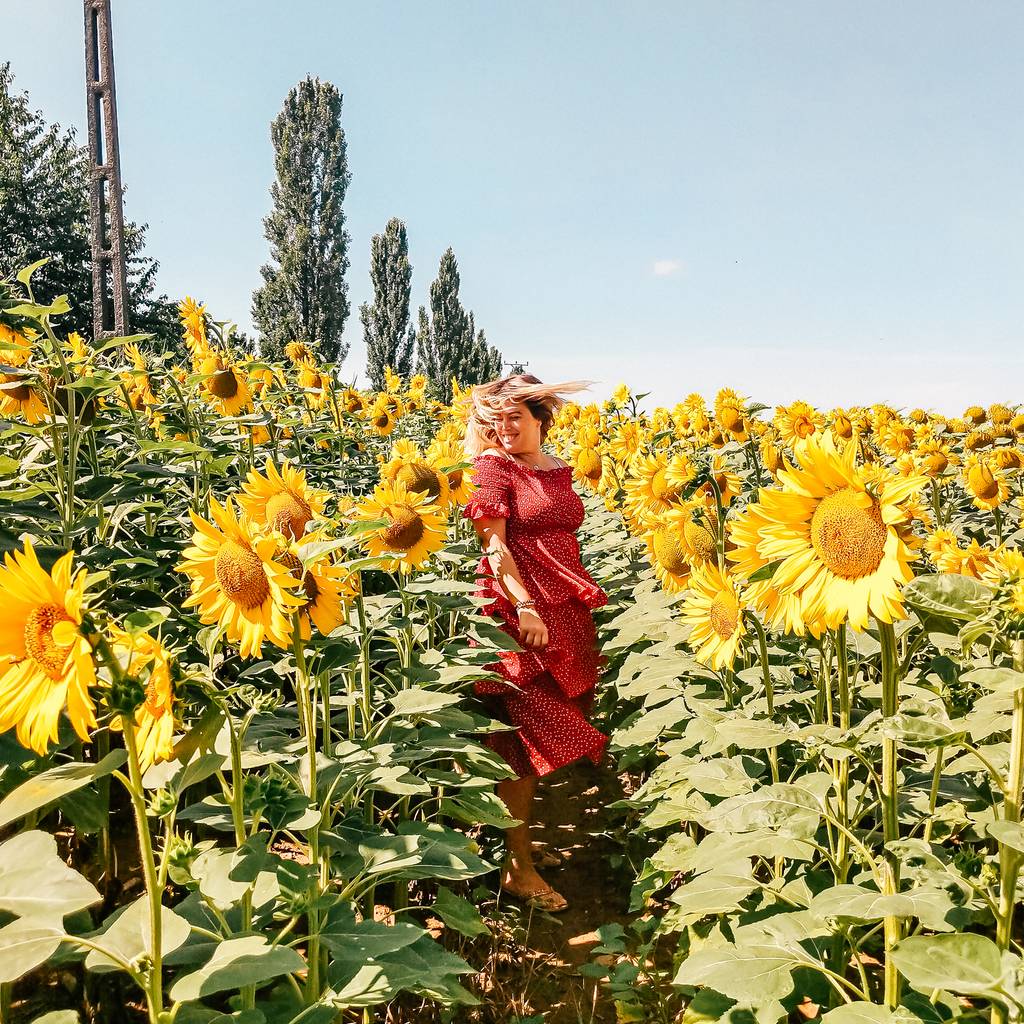 Moving Poses for Instagram - Whirling around in a sunflower field