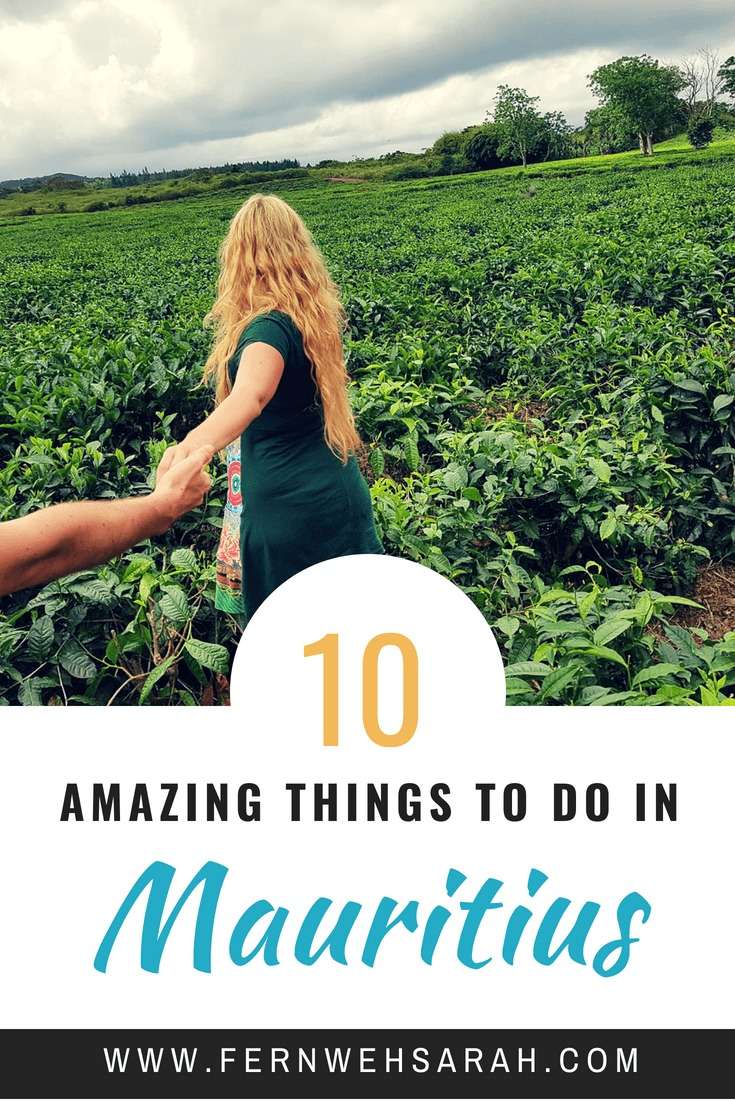 10 Must do Activities in Mauritius Pin