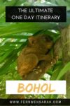 Pinterest Image for Blog article about the ultimate itinerary to Bohol showing a Tarsier from the Tarsier Sanctuary in Corella